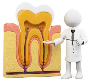 Root Canal Treatment at Family Dental Care